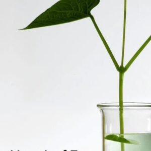 Heartleaf 77% Soothing Toner – Image 6