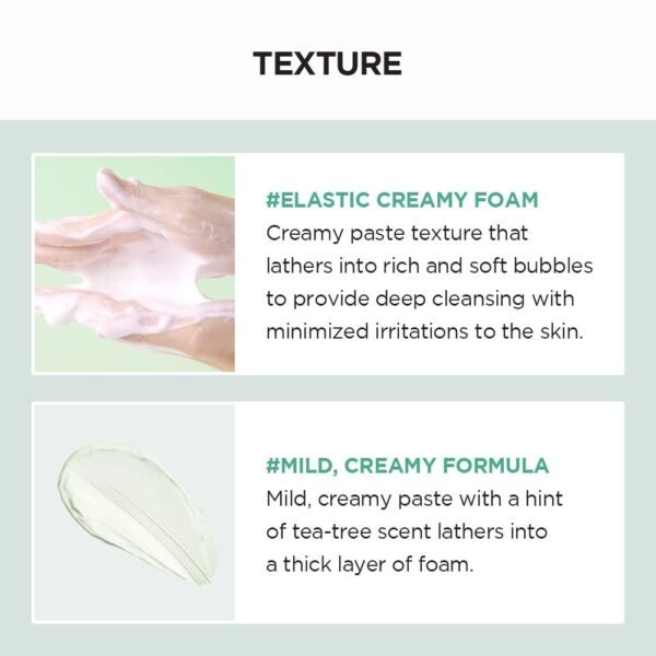 Madagascar Centella Tea-Trica Bha Foam – Image 4